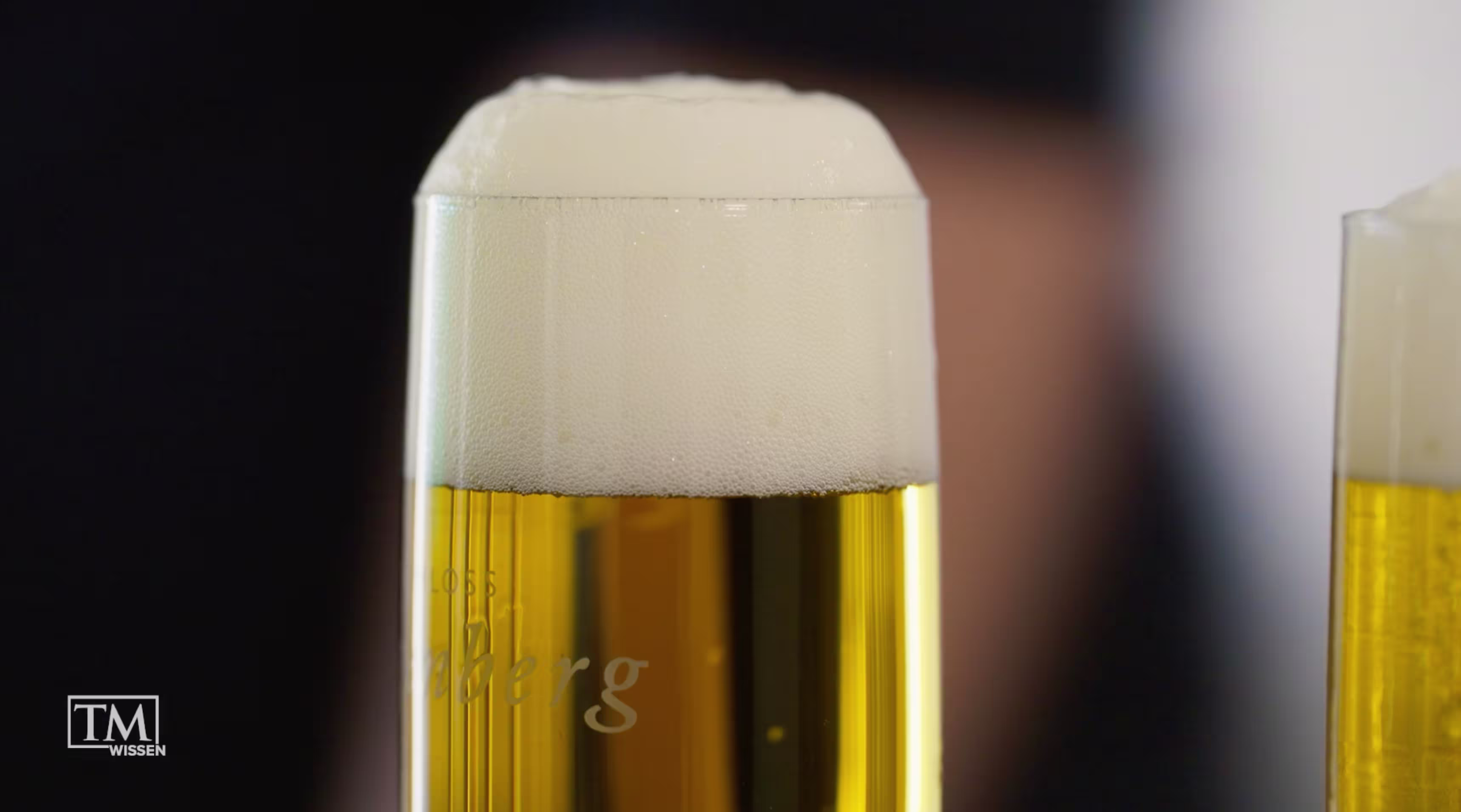 Bier - TM Wissen