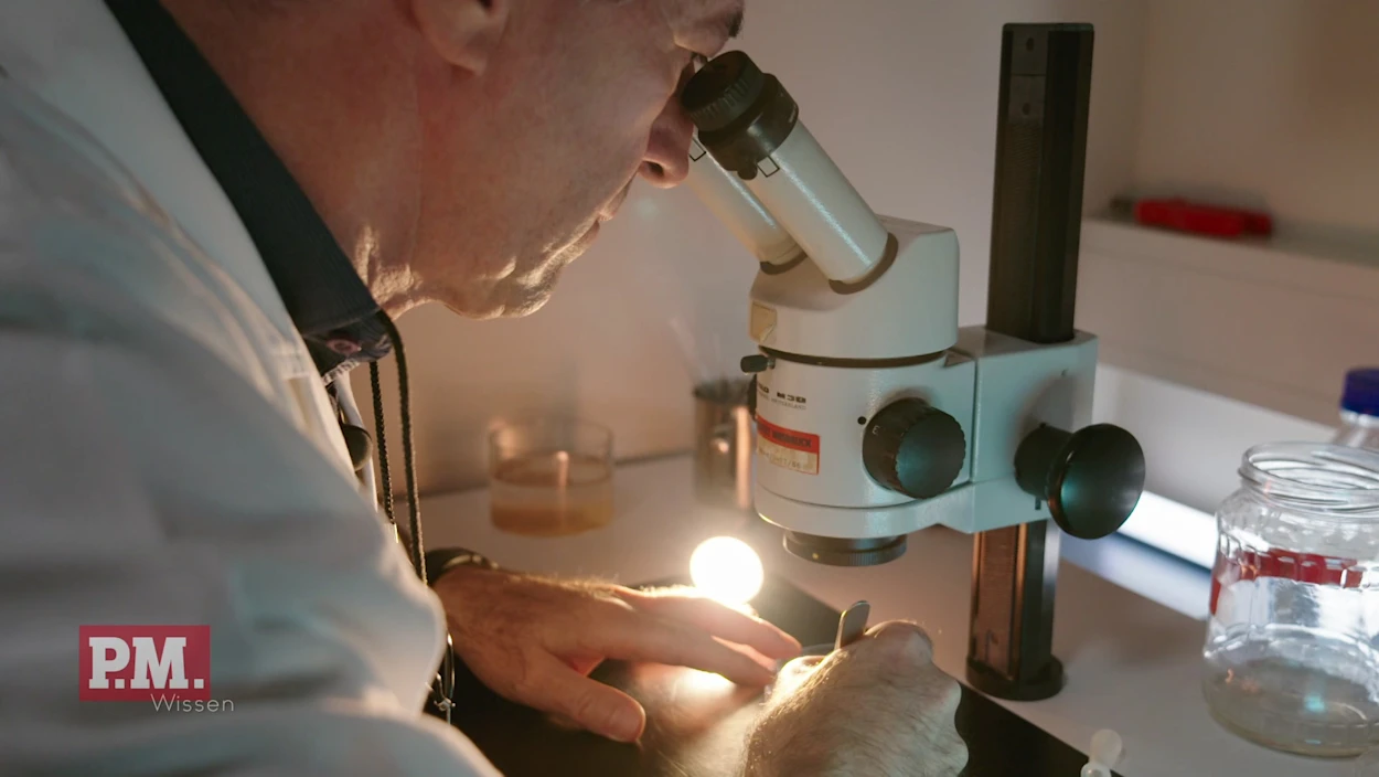 Innovationen für die Umwelt