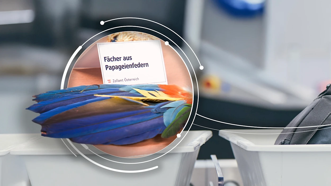 Kuriose Fundstücke beim Flughafen-Zoll in Wien-Schwechat