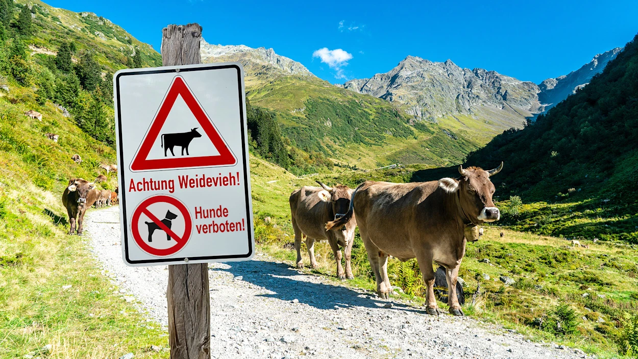 Kurzmeldungen vom 02.09.