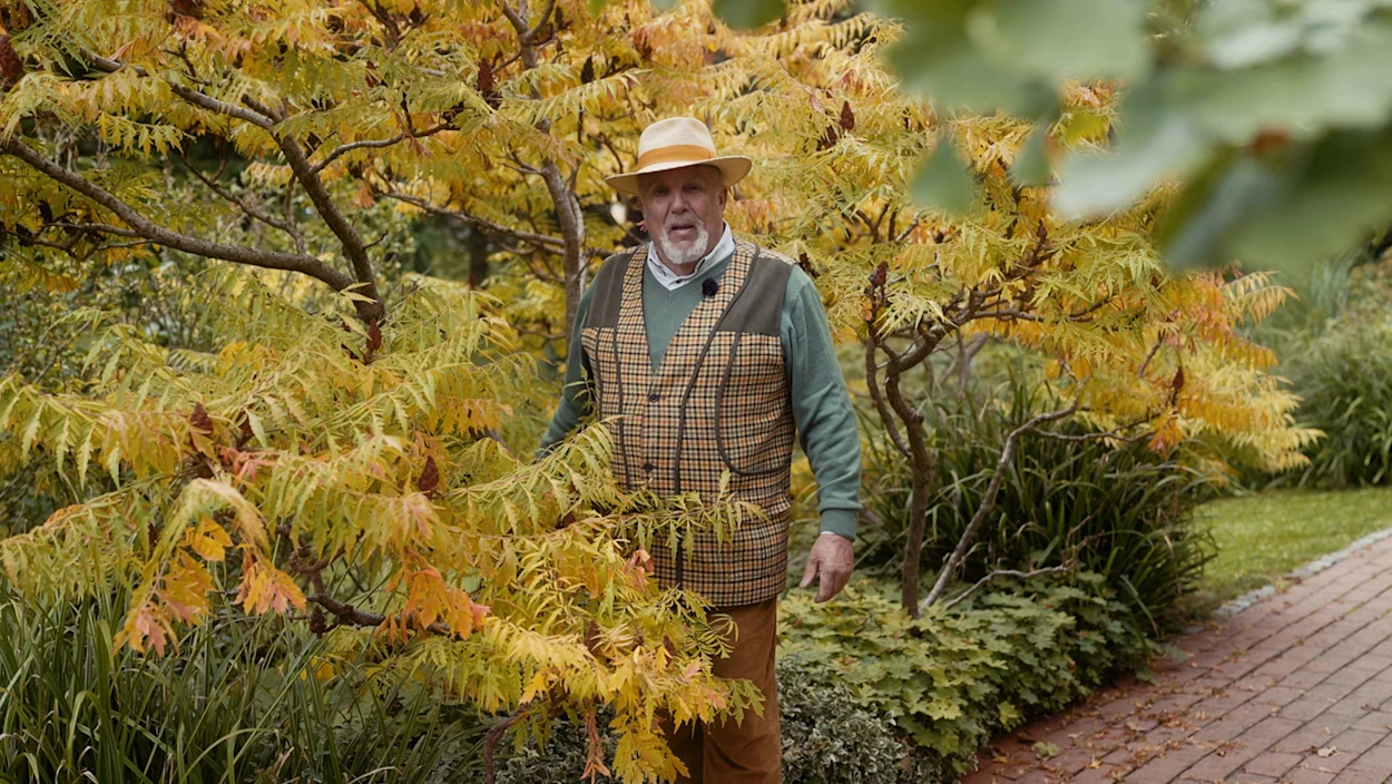 Herbstzauber im Garten 