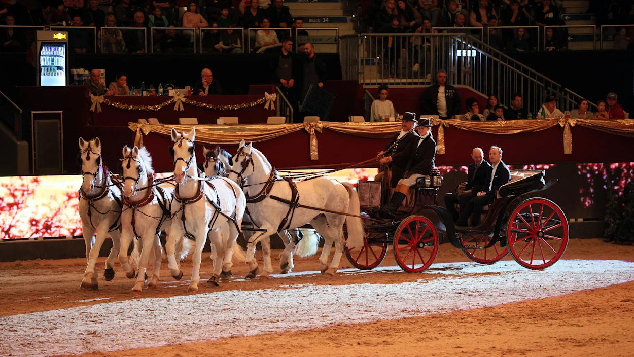 Gewinnspiel: Amadeus Horse Indoors 2025