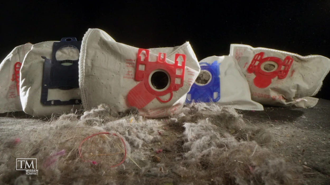 Hausstaub unter der Lupe