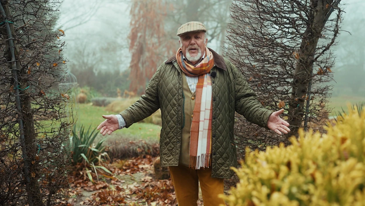 Winterzauber im Garten
