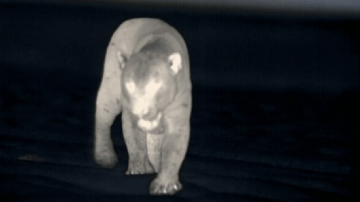 In den Bergen Patagoniens