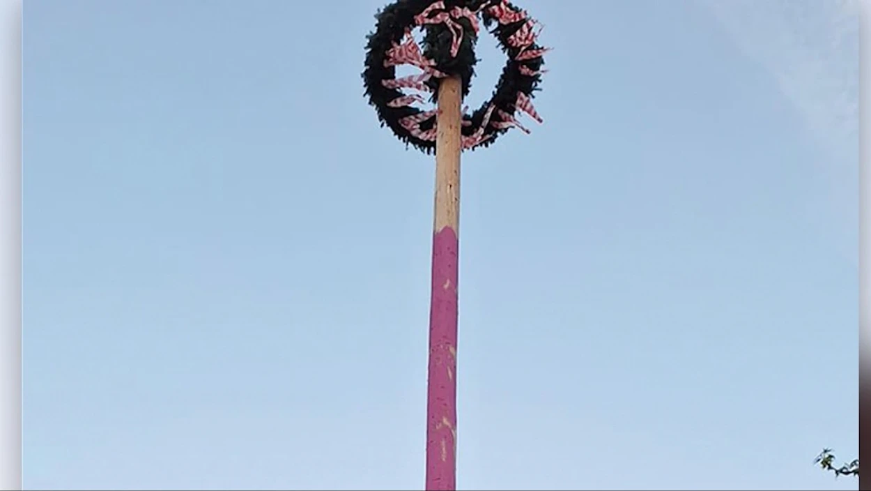 Maibaum-"Diebstahl" im Innviertel: strenge Regeln bei Österreichs Maibaum-Tradition