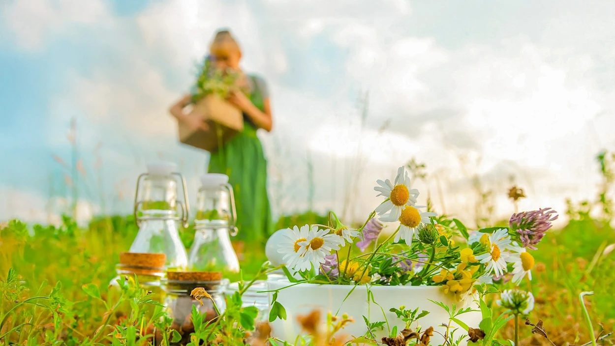 Die Kraft der Kräuter: Der Detox-Trend im Frühling