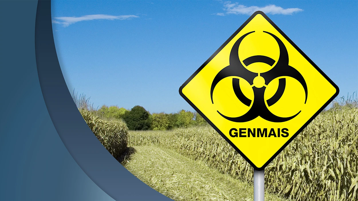 Servus Nachrichten 19:20