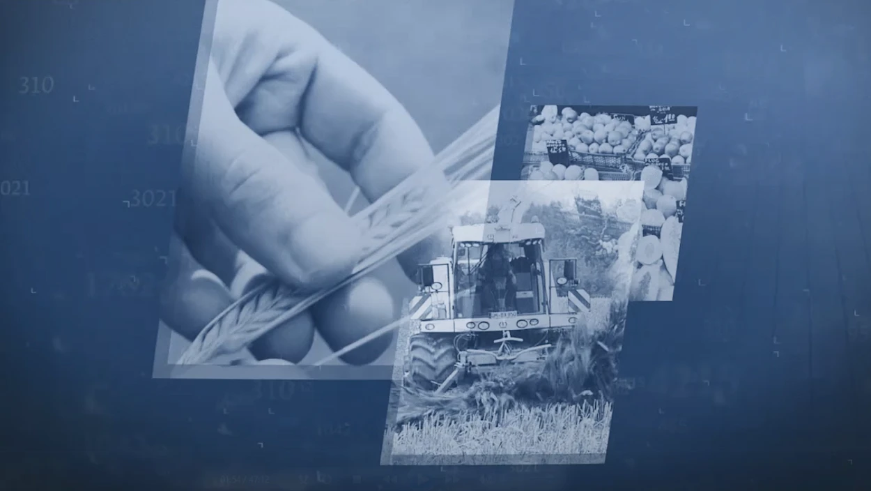 Servus Reportage: Alle Infos zur Sendung bei ServusTV