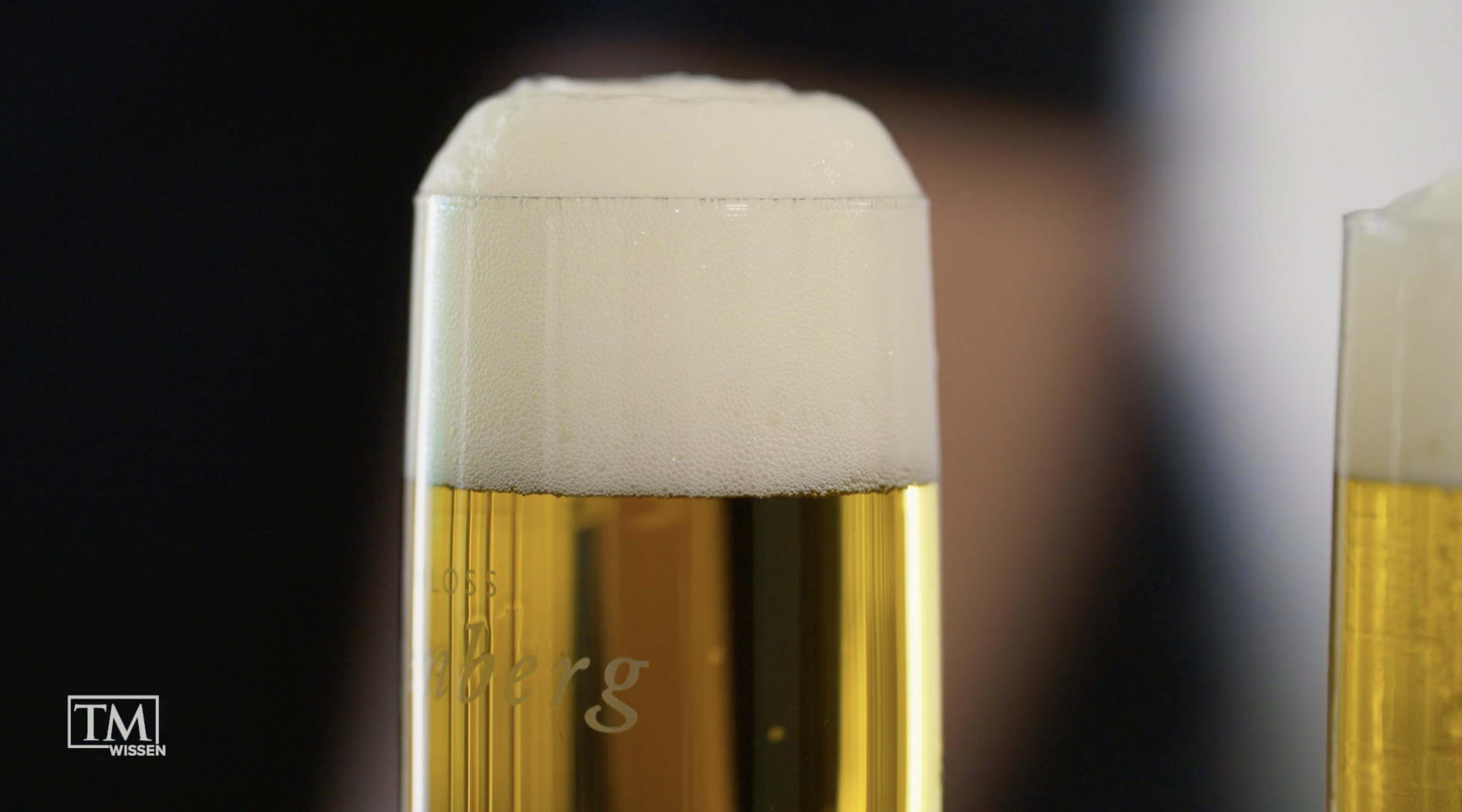 Bier - TM Wissen