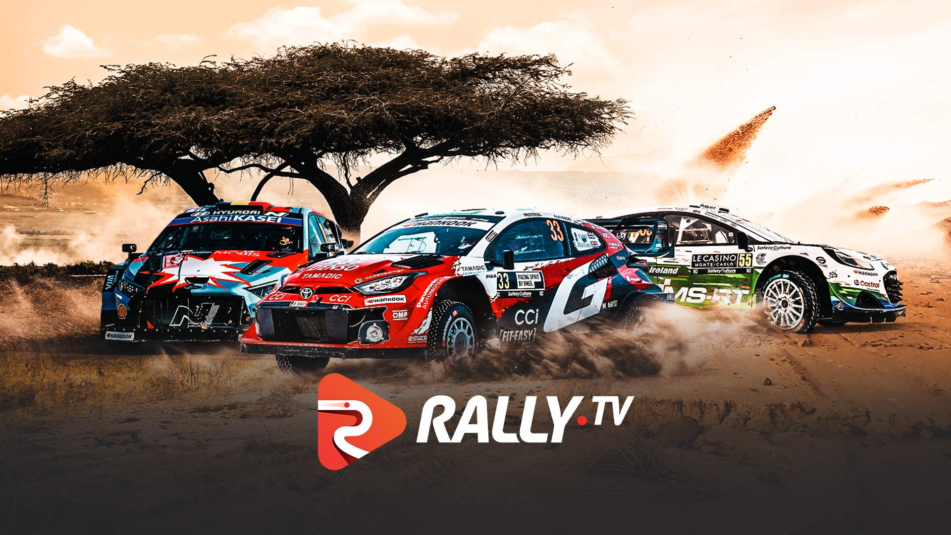 RALLY TV