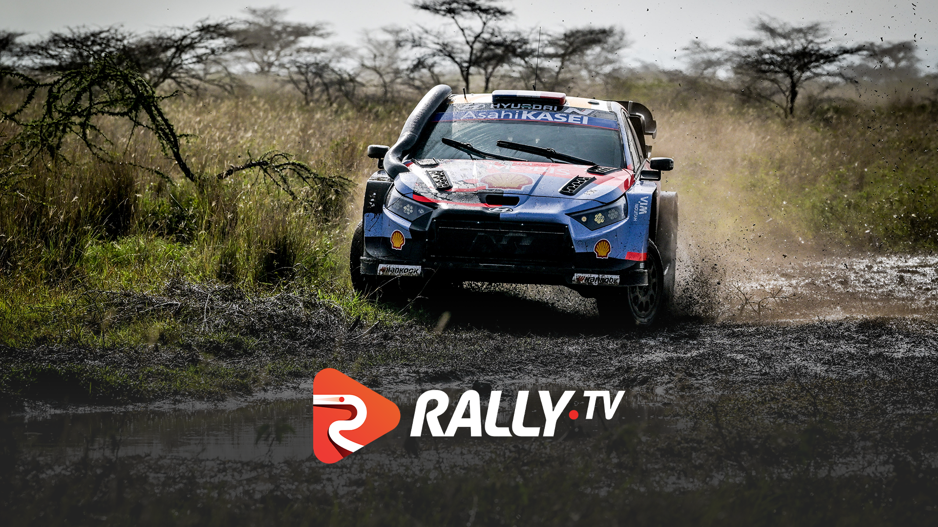 Events | WRC & ERC Live, Schedule & Replays - Rally.TV