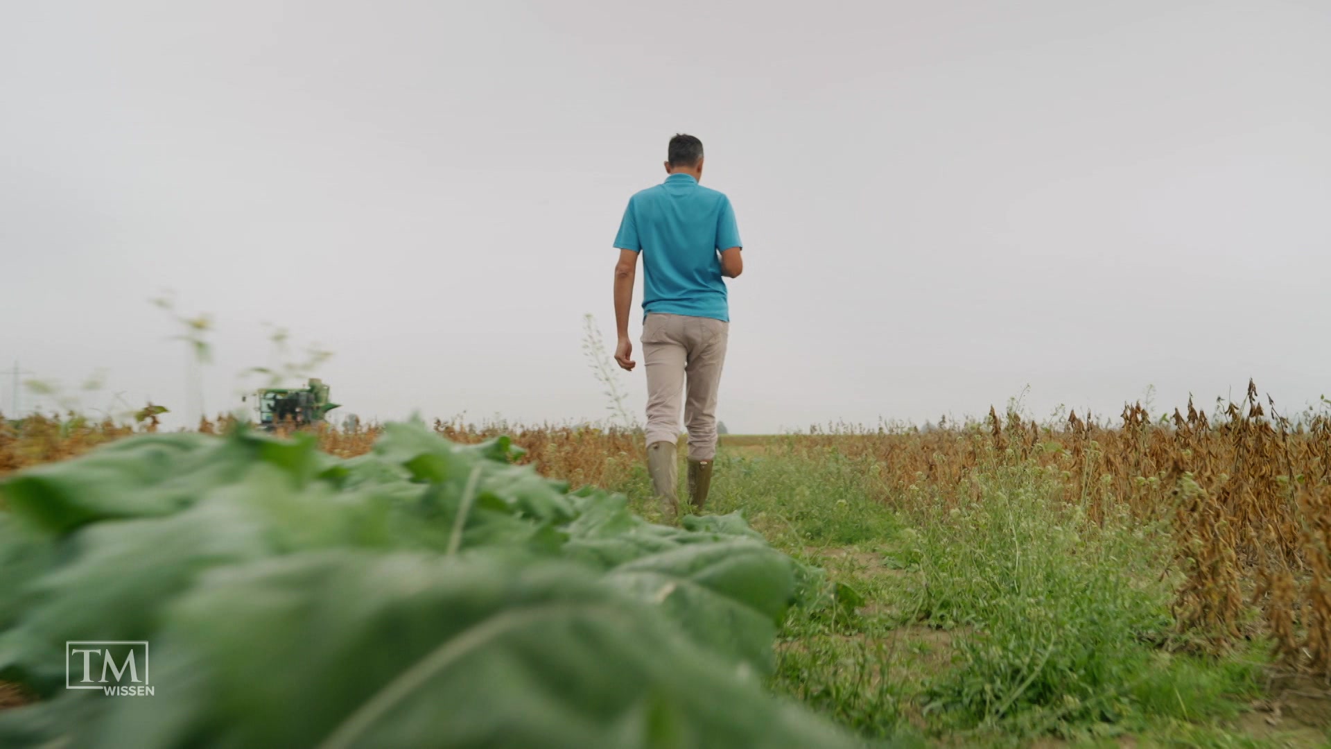 Im Einklang mit der Natur