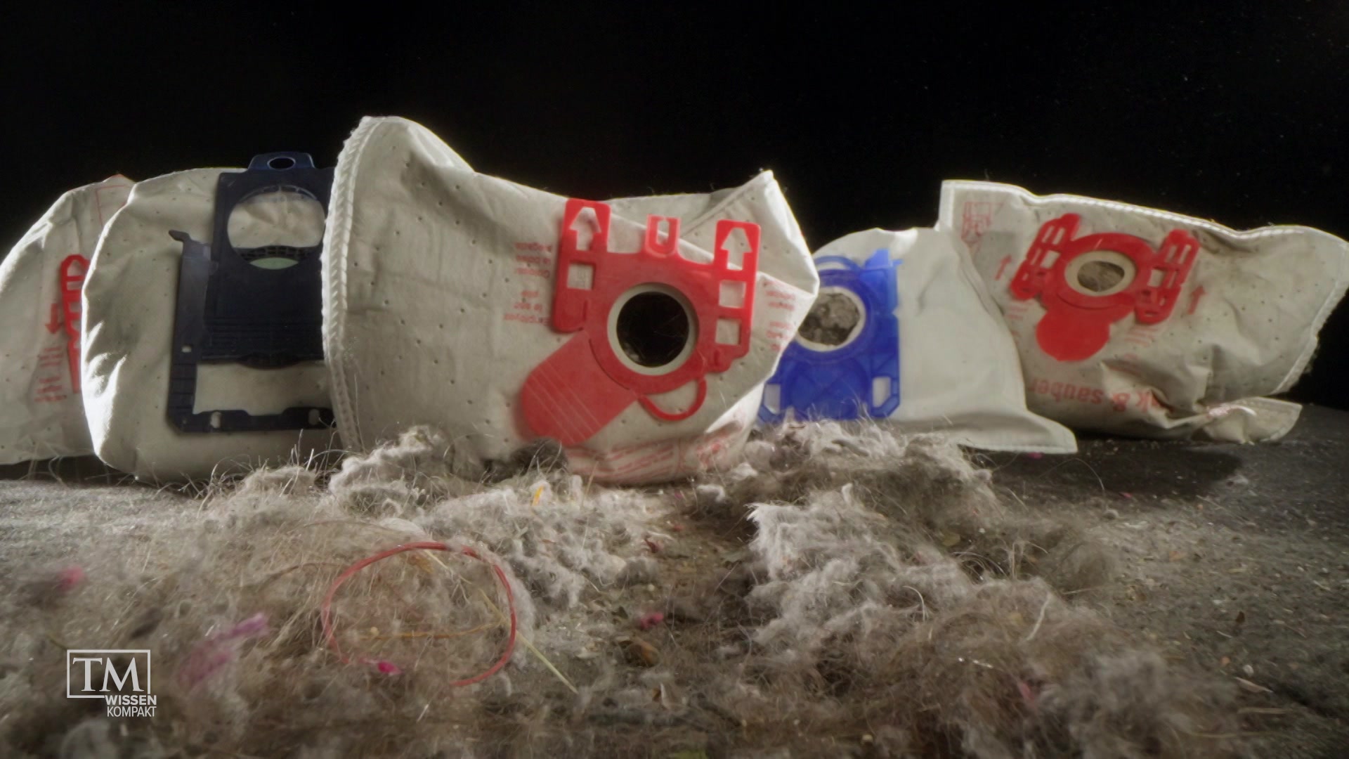 Hausstaub unter der Lupe