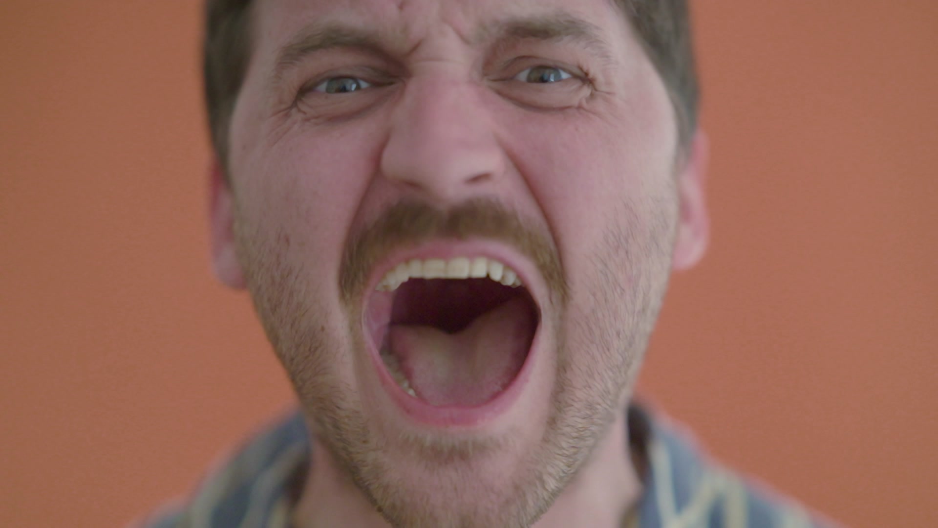 Kopf, Körper - Kraftausdrücke?