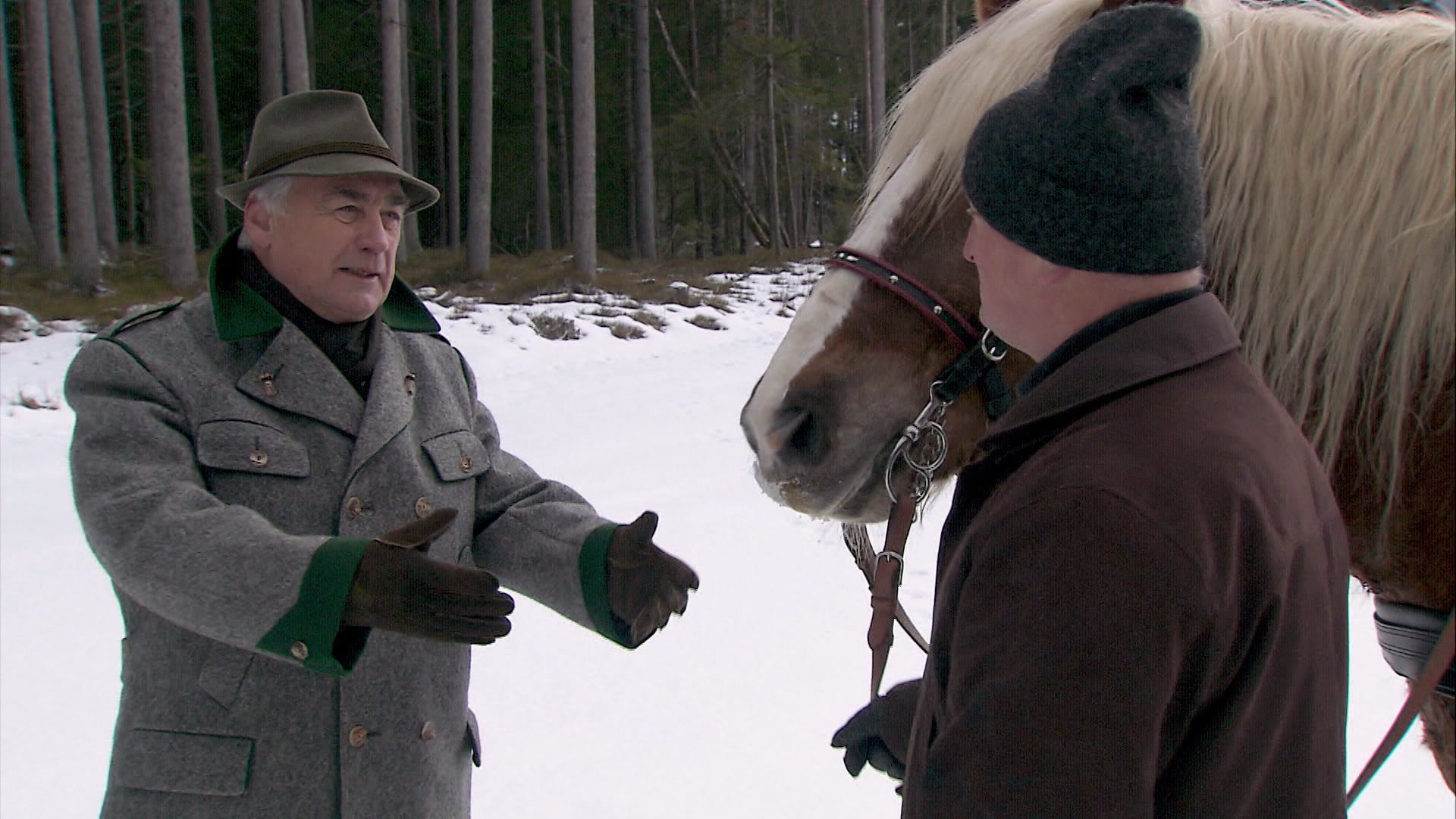 Im Märzen der Bauer die Rösslein einspannt