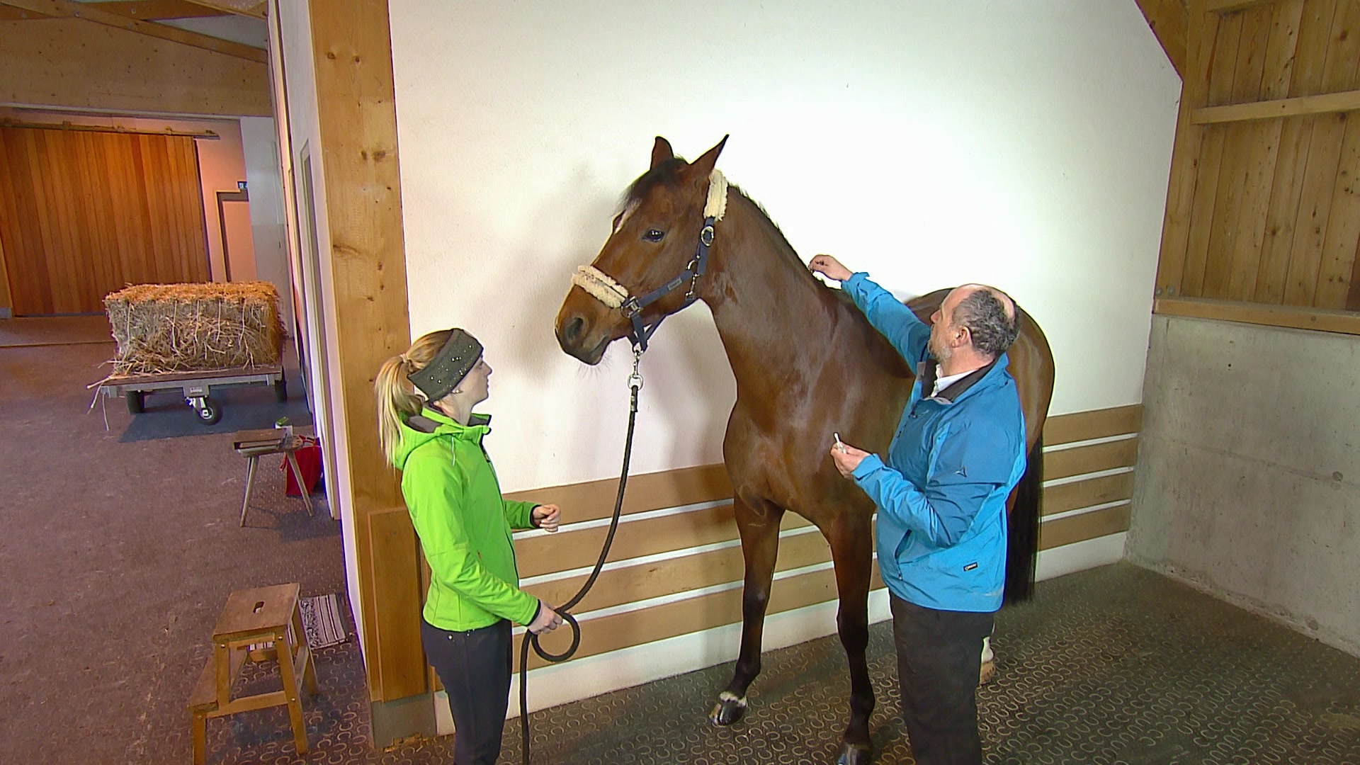 Vom Holzrücken und alten Heilmethoden