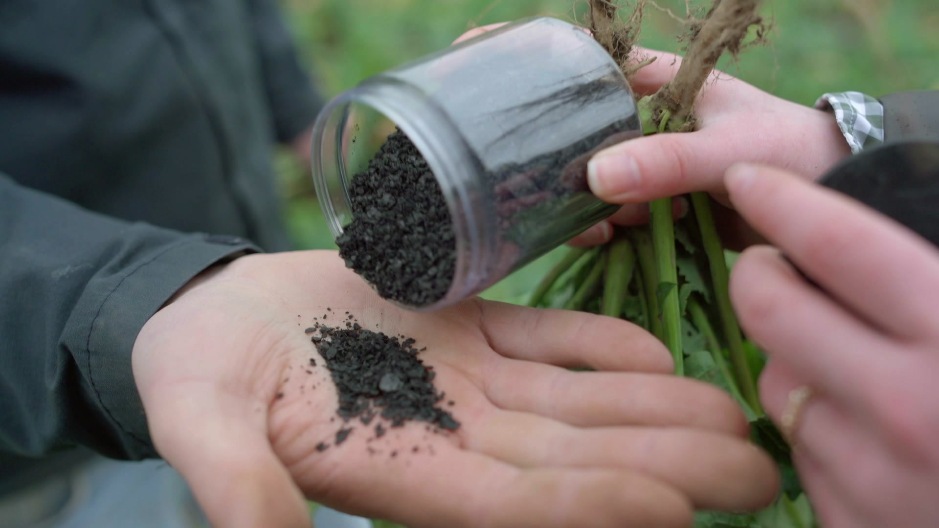 Doping für Nutzpflanzen