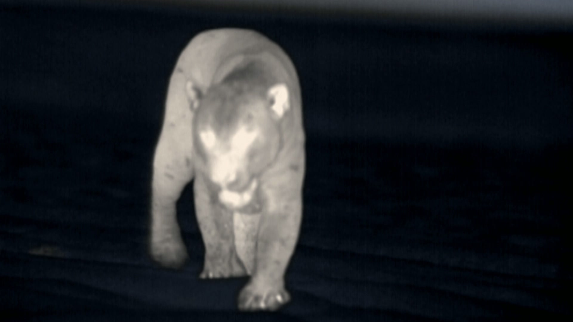 In den Bergen Patagoniens